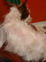 processed/be461449-18bc-499a-aee8-0e56b71fbed3/listing/8f571f3e-de62-4508-809b-65b86e3bd11f/04a63a90-1385-4cc9-b332-203812f27cc3