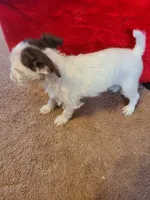 processed/be461449-18bc-499a-aee8-0e56b71fbed3/listing/8f571f3e-de62-4508-809b-65b86e3bd11f/08788d06-f259-471c-92fd-91f327d6a0e8