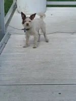 processed/be461449-18bc-499a-aee8-0e56b71fbed3/listing/8f571f3e-de62-4508-809b-65b86e3bd11f/8a56e13b-0a8f-40a1-a2ac-58b4931efda4