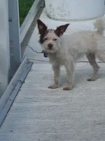 processed/be461449-18bc-499a-aee8-0e56b71fbed3/listing/8f571f3e-de62-4508-809b-65b86e3bd11f/9accb41a-5ffd-4e3d-b0ee-5b5fcdf51e4b