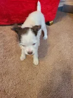 processed/be461449-18bc-499a-aee8-0e56b71fbed3/listing/8f571f3e-de62-4508-809b-65b86e3bd11f/9ff04820-5236-4daf-a7e2-0cbbc328e99f