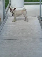 processed/be461449-18bc-499a-aee8-0e56b71fbed3/listing/8f571f3e-de62-4508-809b-65b86e3bd11f/fbc66de1-72bb-4013-9934-4230a888e524