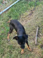 processed/be461449-18bc-499a-aee8-0e56b71fbed3/listing/94056137-0c71-42c8-adee-e10277dd320b/01ac585e-5935-474f-a507-3a005a83c3bf