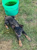 processed/be461449-18bc-499a-aee8-0e56b71fbed3/listing/94056137-0c71-42c8-adee-e10277dd320b/11afef74-c5d0-4de0-9b86-a4b71d34bf06