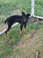 processed/be461449-18bc-499a-aee8-0e56b71fbed3/listing/94056137-0c71-42c8-adee-e10277dd320b/4342b39b-2486-45b8-863d-6f5ca1600683