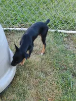 processed/be461449-18bc-499a-aee8-0e56b71fbed3/listing/94056137-0c71-42c8-adee-e10277dd320b/e64f3b44-72a5-450f-8b0a-d59026c63600