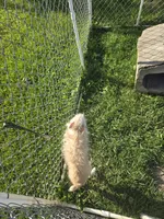 processed/be461449-18bc-499a-aee8-0e56b71fbed3/listing/a46be400-32d5-4f62-84e5-ef806decb864/40c3f55d-2dba-43df-93a7-71dd1f0c469b