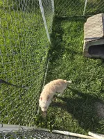 processed/be461449-18bc-499a-aee8-0e56b71fbed3/listing/a46be400-32d5-4f62-84e5-ef806decb864/59759b26-8f66-4aea-bc49-e356647d91ff