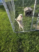 processed/be461449-18bc-499a-aee8-0e56b71fbed3/listing/a46be400-32d5-4f62-84e5-ef806decb864/6df6f7bf-af06-4589-a19f-ac4a5eaeffcf