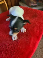 processed/be461449-18bc-499a-aee8-0e56b71fbed3/listing/b18b6e5c-586d-4c06-8818-d694864cfe90/19aba76f-3e7d-456d-a3e0-65d82575bcaf