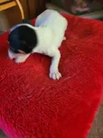 processed/be461449-18bc-499a-aee8-0e56b71fbed3/listing/b18b6e5c-586d-4c06-8818-d694864cfe90/bd5f5433-db05-4192-a60f-feb1d4bf6c0f