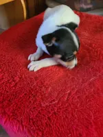 processed/be461449-18bc-499a-aee8-0e56b71fbed3/listing/b18b6e5c-586d-4c06-8818-d694864cfe90/d6b4a1f9-a173-4a47-a466-c3dc4d8faa5c