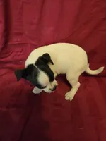 processed/be461449-18bc-499a-aee8-0e56b71fbed3/listing/b2624564-fdd5-4e7f-a87c-94120591e9cf/591381f6-02ee-412a-a5b5-18fb7aea9085