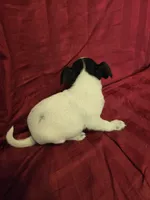 processed/be461449-18bc-499a-aee8-0e56b71fbed3/listing/b2624564-fdd5-4e7f-a87c-94120591e9cf/8a1815ac-c1d9-4dec-a5e7-4e7d2c4b719b