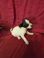 processed/be461449-18bc-499a-aee8-0e56b71fbed3/listing/b2624564-fdd5-4e7f-a87c-94120591e9cf/ce03a2fe-5779-49fe-89d4-86e9e2ce1ae1