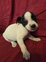 processed/be461449-18bc-499a-aee8-0e56b71fbed3/listing/b2624564-fdd5-4e7f-a87c-94120591e9cf/fd7b0a9a-14b4-4847-89d2-8306c27644c8