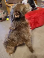 processed/be461449-18bc-499a-aee8-0e56b71fbed3/listing/c2b7a395-321d-461e-88dc-4addec037ac9/55145190-a452-4ad1-8140-2e5dfcd1718b