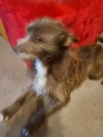 processed/be461449-18bc-499a-aee8-0e56b71fbed3/listing/c2b7a395-321d-461e-88dc-4addec037ac9/67916957-2c6c-41a4-97da-0f688536bb50