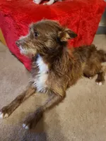 processed/be461449-18bc-499a-aee8-0e56b71fbed3/listing/c2b7a395-321d-461e-88dc-4addec037ac9/f5269b89-ce7f-4748-8d45-debd685581ab