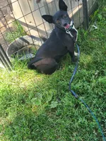 processed/be461449-18bc-499a-aee8-0e56b71fbed3/listing/e25ebcd4-51b4-4082-b211-52894f869035/0d8f9598-8654-43d4-aac1-d1ef9a5e6f15