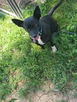 processed/be461449-18bc-499a-aee8-0e56b71fbed3/listing/e25ebcd4-51b4-4082-b211-52894f869035/ac073ad2-3b1f-4ed2-8fe0-3d34d2038d99