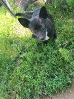 processed/be461449-18bc-499a-aee8-0e56b71fbed3/listing/e25ebcd4-51b4-4082-b211-52894f869035/af6c2eae-223d-4985-b65f-8d4f27b8b5b6