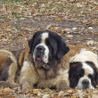 processed/be678ab2-0d3b-460c-9710-fc57d73ce427/facility/0f15c845-7645-4ceb-bbbe-3ae345dae8f4