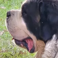 processed/be678ab2-0d3b-460c-9710-fc57d73ce427/facility/14b0b1b5-8372-4508-b32e-038d3e1776a3