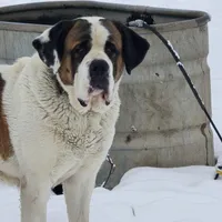 processed/be678ab2-0d3b-460c-9710-fc57d73ce427/facility/15998eab-baed-41d8-bfda-e62f36d90f84