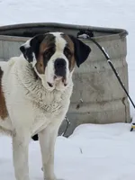 processed/be678ab2-0d3b-460c-9710-fc57d73ce427/facility/15998eab-baed-41d8-bfda-e62f36d90f84