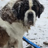 processed/be678ab2-0d3b-460c-9710-fc57d73ce427/facility/35549362-968b-4175-818c-6d792fda1df2