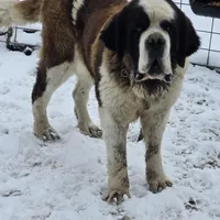 processed/be678ab2-0d3b-460c-9710-fc57d73ce427/facility/3c88f3ea-de7a-4bdf-8ac0-cfd2e371df35