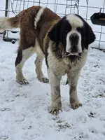 processed/be678ab2-0d3b-460c-9710-fc57d73ce427/facility/3c88f3ea-de7a-4bdf-8ac0-cfd2e371df35