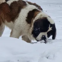 processed/be678ab2-0d3b-460c-9710-fc57d73ce427/facility/57c792fe-5360-4232-8485-4ce9e73cd48f