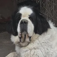 processed/be678ab2-0d3b-460c-9710-fc57d73ce427/facility/896a6216-aa09-42a0-9c00-403c1dddb946