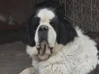 processed/be678ab2-0d3b-460c-9710-fc57d73ce427/facility/896a6216-aa09-42a0-9c00-403c1dddb946