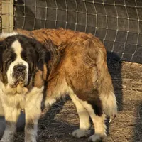 processed/be678ab2-0d3b-460c-9710-fc57d73ce427/facility/b0c0da9c-2968-4d4a-8fde-333cedf67b18