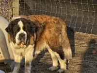 processed/be678ab2-0d3b-460c-9710-fc57d73ce427/facility/b0c0da9c-2968-4d4a-8fde-333cedf67b18