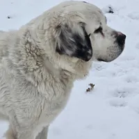 processed/be678ab2-0d3b-460c-9710-fc57d73ce427/facility/b1ca39f4-d6ce-48d9-8cda-e4b71990d143