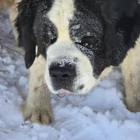 processed/be678ab2-0d3b-460c-9710-fc57d73ce427/facility/ffa8ccf1-ecb0-4b6b-80c8-45c4aa3be344