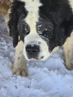 processed/be678ab2-0d3b-460c-9710-fc57d73ce427/facility/ffa8ccf1-ecb0-4b6b-80c8-45c4aa3be344