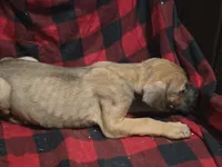 processed/be678ab2-0d3b-460c-9710-fc57d73ce427/listing/1c344a96-7bdd-454e-9d12-5afe578965bb/22794c5a-fa6e-4fd4-84c5-d1dd2c889dac