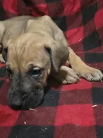 processed/be678ab2-0d3b-460c-9710-fc57d73ce427/listing/1c344a96-7bdd-454e-9d12-5afe578965bb/a47e3d7c-6f52-419a-96b4-df3afc826200