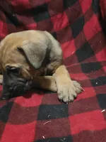 processed/be678ab2-0d3b-460c-9710-fc57d73ce427/listing/1c344a96-7bdd-454e-9d12-5afe578965bb/ff5e09e7-e19d-44fd-99e8-e726109b75e2