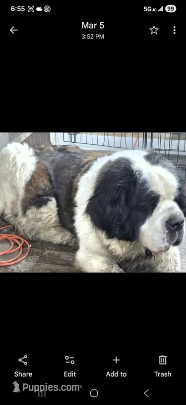 Will update pics when litter a little older