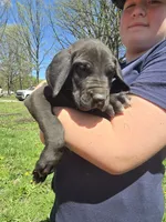 processed/be678ab2-0d3b-460c-9710-fc57d73ce427/listing/4be5f961-f2aa-4ff3-8fa4-e7303fce3524/31654b09-2564-43e7-bdc8-dc66e53ffa83