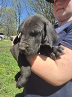 processed/be678ab2-0d3b-460c-9710-fc57d73ce427/listing/4be5f961-f2aa-4ff3-8fa4-e7303fce3524/4be5f961-f2aa-4ff3-8fa4-e7303fce3524/ce3a0fad-d163-491e-9ceb-5c536e17bf46