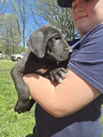 processed/be678ab2-0d3b-460c-9710-fc57d73ce427/listing/4be5f961-f2aa-4ff3-8fa4-e7303fce3524/7693e25b-d20f-488f-9e80-e545b21f3d6b