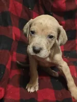 processed/be678ab2-0d3b-460c-9710-fc57d73ce427/listing/6ce8d282-c060-40cb-b9d2-b21797c1a9dc/4d4ffcc7-6250-49fd-a116-162435be31aa