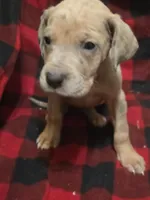 processed/be678ab2-0d3b-460c-9710-fc57d73ce427/listing/6ce8d282-c060-40cb-b9d2-b21797c1a9dc/abb72b48-d9ff-483d-a79e-ad9d252699ba